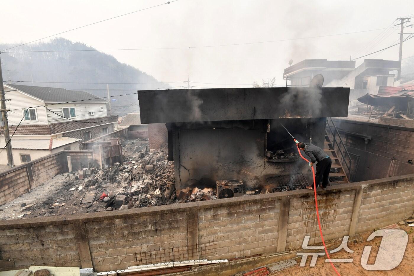 경북 의성 산불이 강풍을 타고 영덕으로 확산된 26일 오전 매정1리 마을에서 주민이 연기가 피어오르는 집의 불을 끄고 있다. 2025.3.26/뉴스1 ⓒ News1 최창호 기자