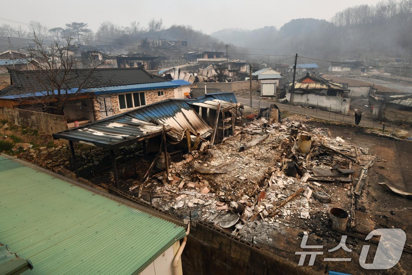 본문 이미지 - 경북 의성산불이 강풍을 타고 영덕군으로 확산된 26일 오전 화마가 지나간 영덕읍 매정1리 마을이 쑥대밭으로 변해있다. 2025.3.26/뉴스1 ⓒ News1 최창호 기자