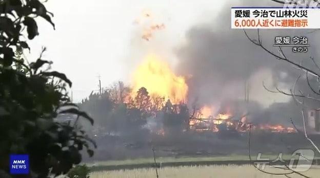 본문 이미지 - 일본 서부 지역에 산불이 발생했다. <출처=NHK 방송 캡처>