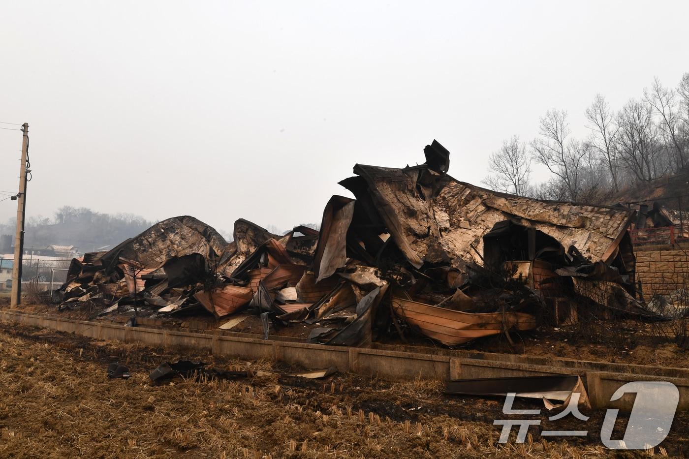 본문 이미지 - 경북 의성산불이 강풍을 타고 영덕군으로 확산된 26일 오전 화마가 지나간 영덕읍 매전1리 마을이 쑥대밭으로 변해있다. 2025.3.26/뉴스1 ⓒ News1 최창호 기자