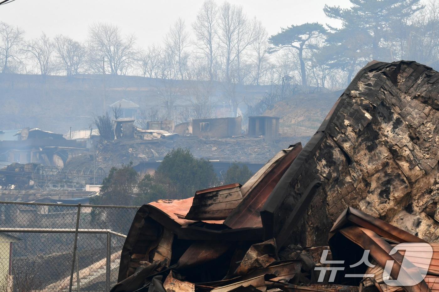 경북 의성 산불이 강풍을 타고 영덕으로 확산된 지난 3월26일 마을 곳곳이 시커멓게 타 쑥대밭으로 변했다. 2025.3.26/뉴스1 ⓒ News1 최창호 기자