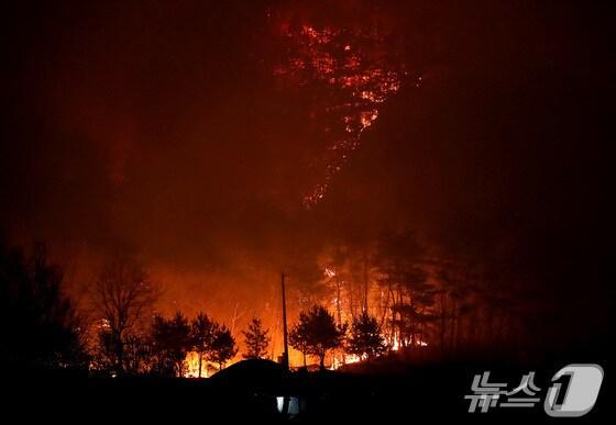 본문 이미지 -  어둠이 짙게 깔린 경북 의성군 의성읍 업리 동사곡지(저수지) 뒤편 야산에 거대한 산불이 확산하고 있다. (의성=뉴스1) 공정식 기자