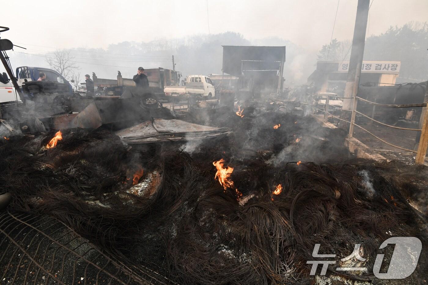 경북 의성산불이 강풍을 타고 영덕으로 확산된 26일 오전 영덕읍에 있는 자동차 정비소에서 수 십여대의 차량이 불에 타는 피해가 발생했다. 2025.3.26/뉴스1 ⓒ News1 최창호 기자