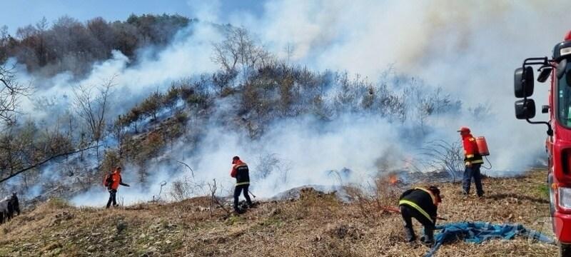 본문 이미지 - 영동 산불 사진(영동소방서 제공. 재판매 및 DB금지) 