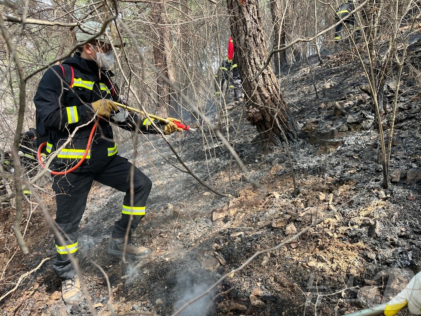 본문 이미지 - 지리산국립공원 경남사무소 직원들이 26일 오전부터 산청군 시천면 구곡산 인근 및 지리산 경계 200m 지점에서 산불 진화 작업을 벌이고 있다. (지리산국립공원 제공, 재판매 및 DB 금지) 2025.3.26/뉴스1