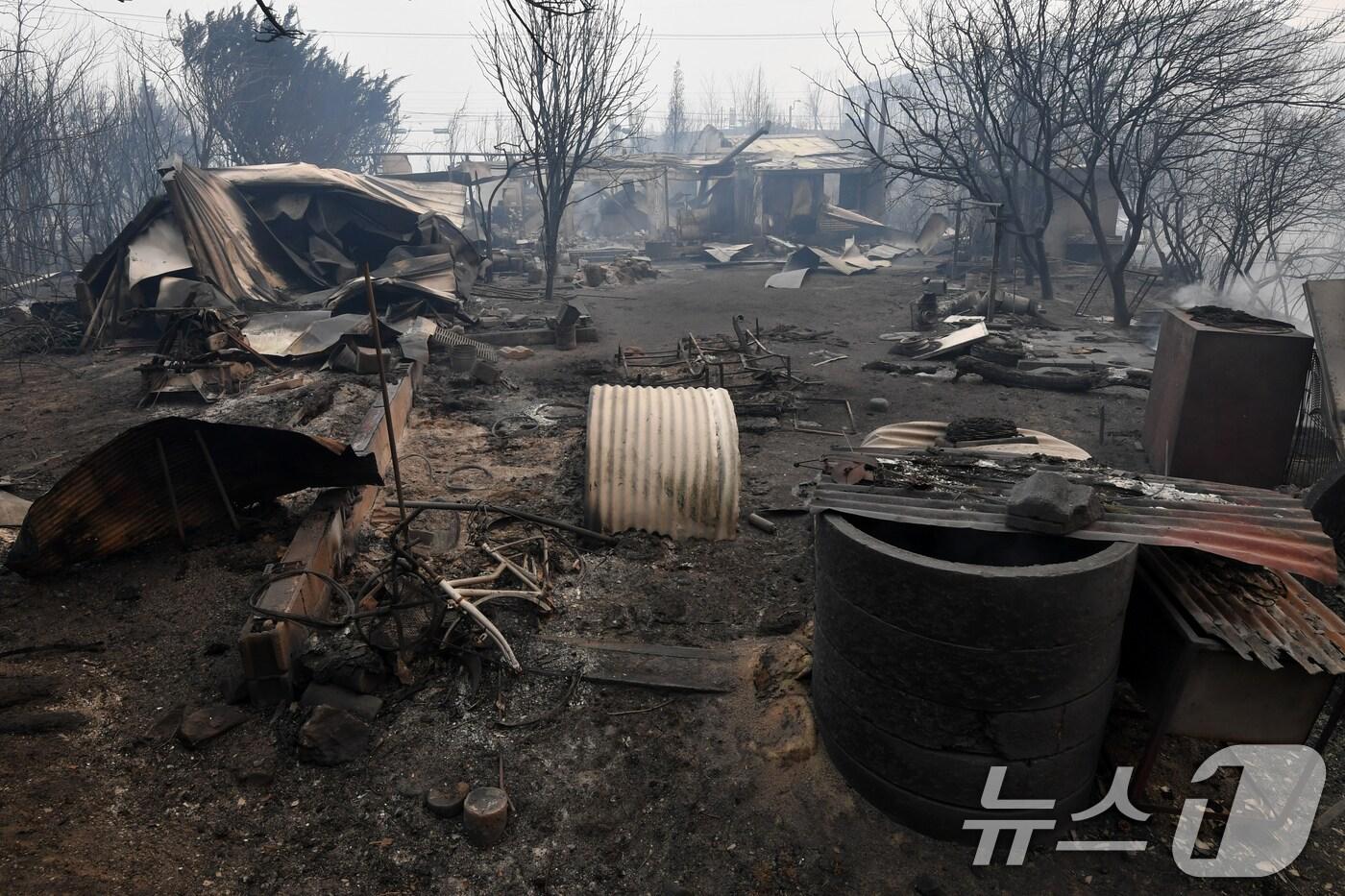 경북 의성산불이 강풍을 타고 영덕으로 확산된 26일 오전 영덕읍 매정 1리 마을 곳곳이 쑥대밭으로 변해 있다. 2025.3.26/뉴스1 ⓒ News1 최창호 기자