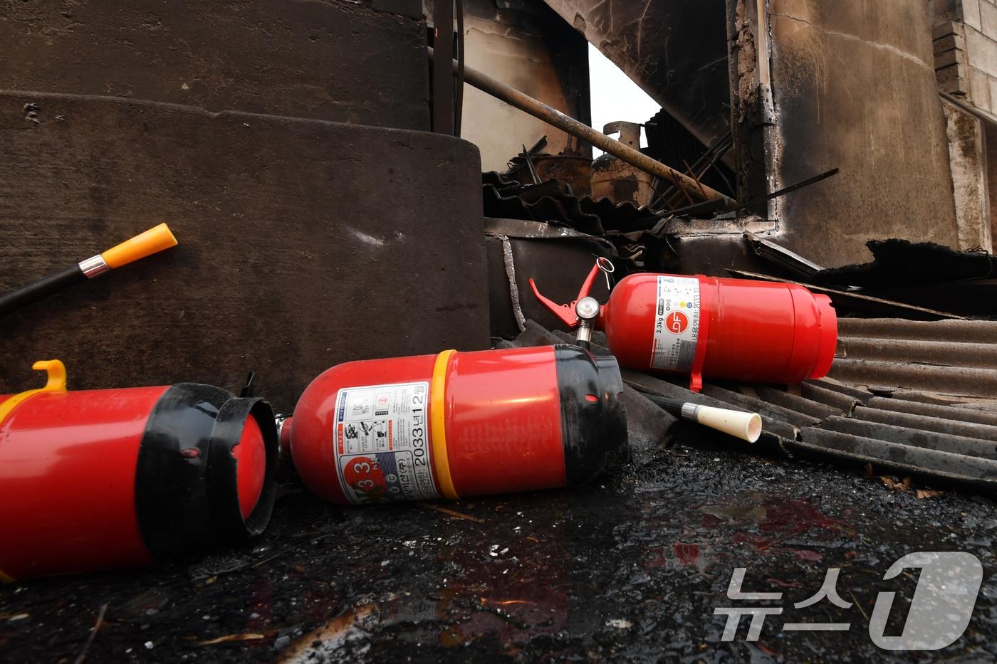 본문 이미지 - (사진은 기사 내용과 무관함) / 뉴스1 ⓒ News1