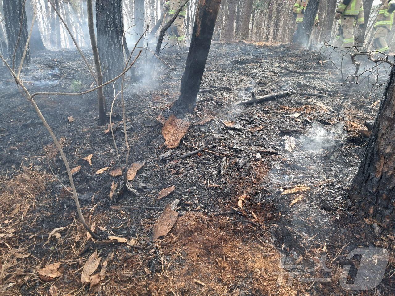 본문 이미지 - 화재 현장. (경기도소방재난본부 제공. 재판매 및 DB 금지) 2025.3.26/뉴스1