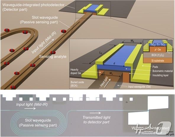 본문 이미지 - 저마늄 기반 도파로형 중적외선 광검출기 기술 개념도. (KAIST 제공. 재판매 및 DB금지) /뉴스1