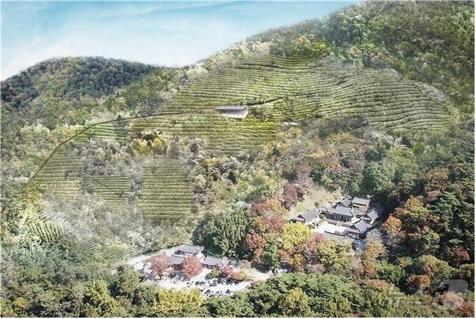 본문 이미지 - 무등산 춘설차 밭 조감도. (광주 동구 제공. 재판매 및 DB 금지) 