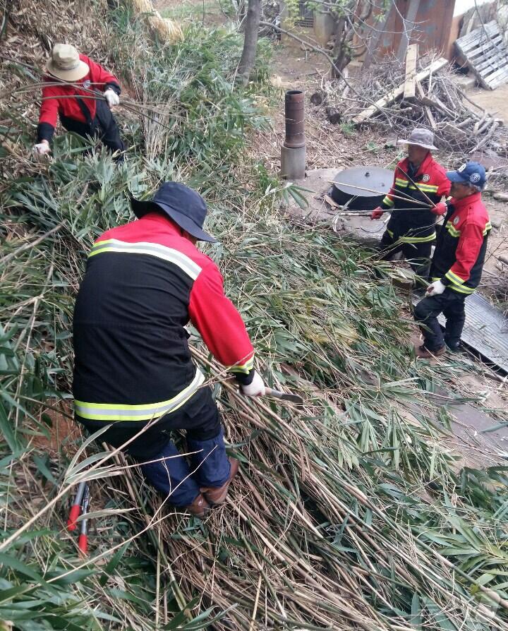 본문 이미지 - 양양지역 산불예방 인화물질 제거작업.(양양군 제공, 재판매 및 DB 금지) 2025.3.27/뉴스1