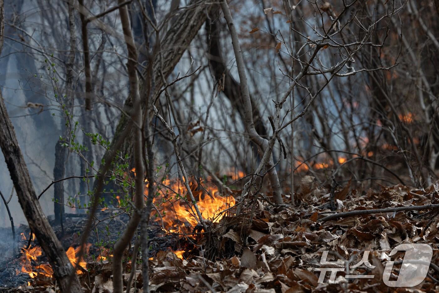 27일 경북 의성군 비안면 일대 야산에서 산불이 발생하고 있다. ⓒ News1 이승배 기자