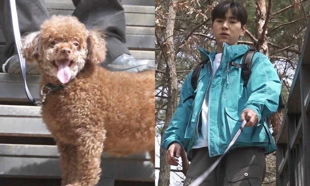 본문 이미지 - MBC