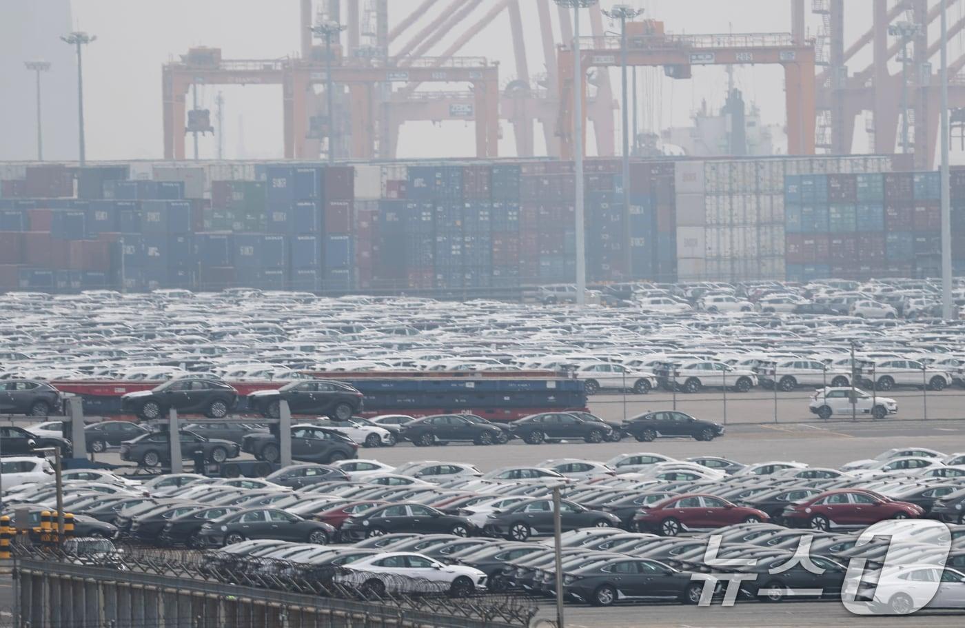 본문 이미지 - 경기 평택 포승읍 평택항 자동차전용부두에 수출용 차량들이 세워져 있다.ⓒ 뉴스1 오대일 기자