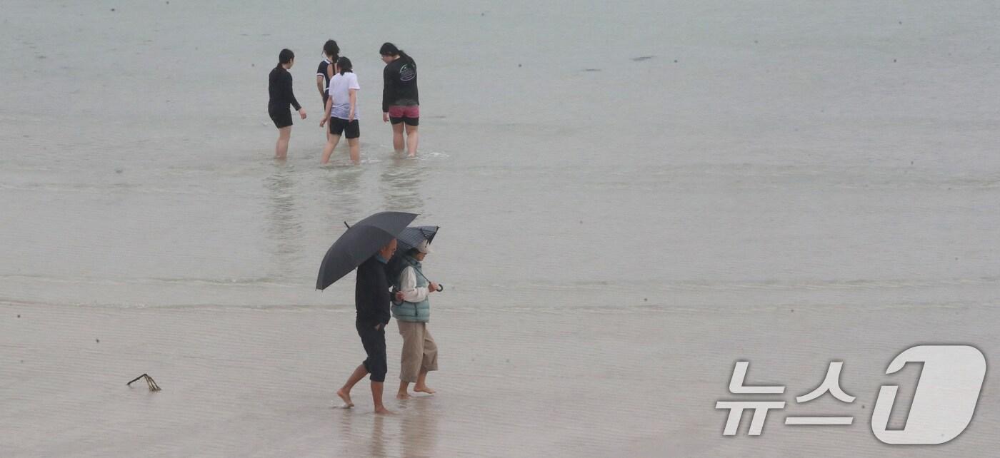 비 내리는 제주(자료사진)/뉴스1