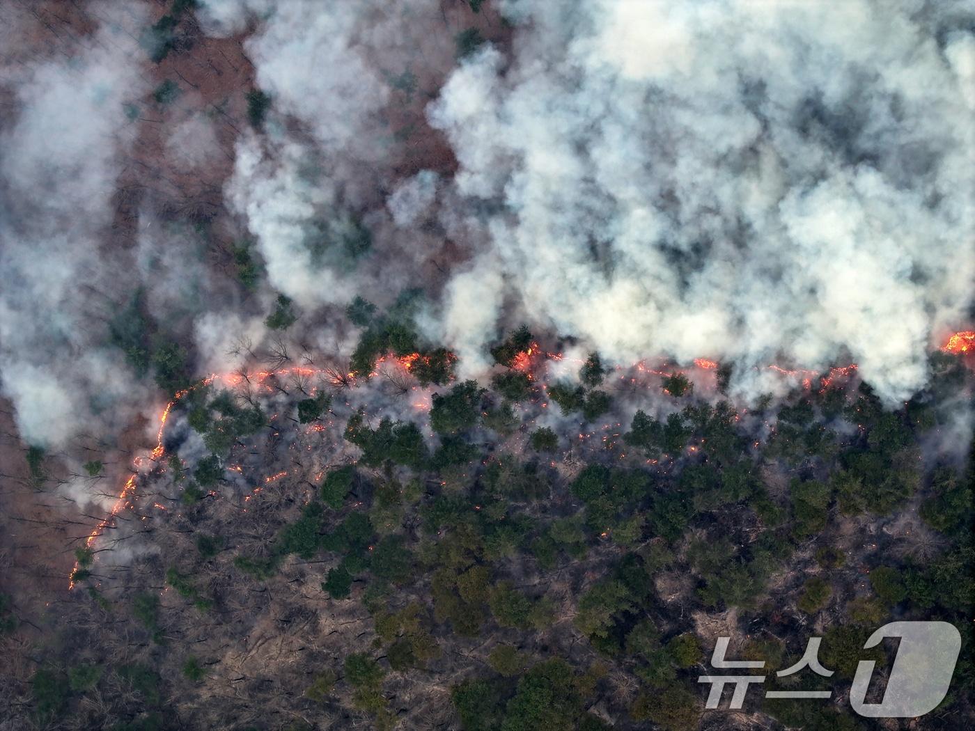 본문 이미지 - 산불이 이어지고 있는 3월 27일 경북 영양군의 야산에서 불길이 번지고 있다. 2025.3.27/뉴스1 ⓒ News1 이승배 기자