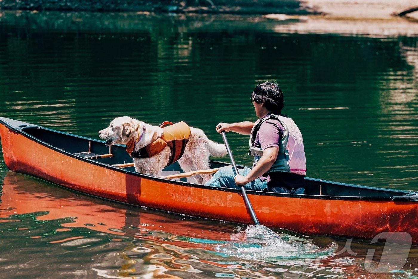 펫 동반 카누투어 패키지&#40;소노인터내셔널 제공&#41;