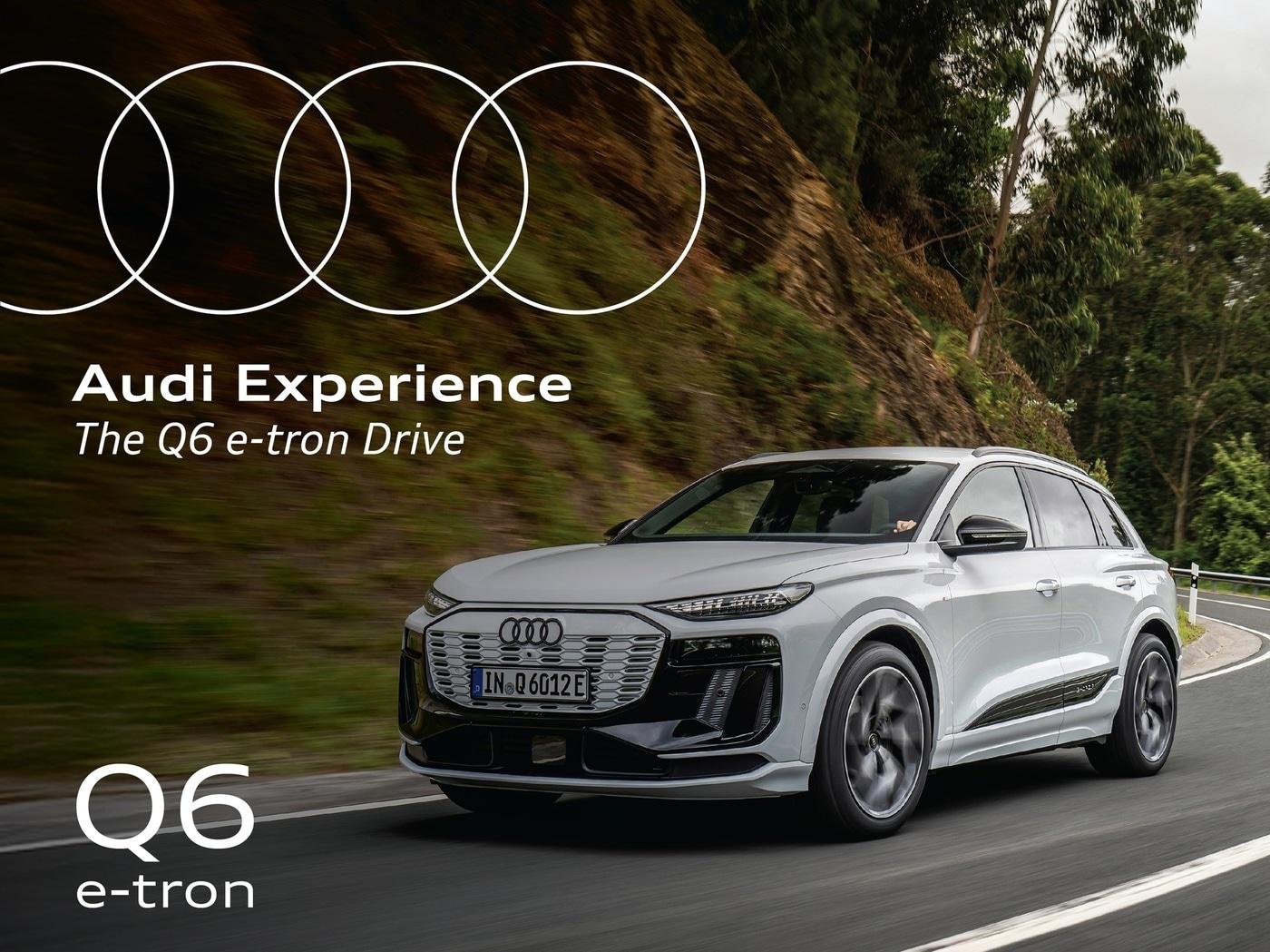 본문 이미지 - (아우디코리아 제공).