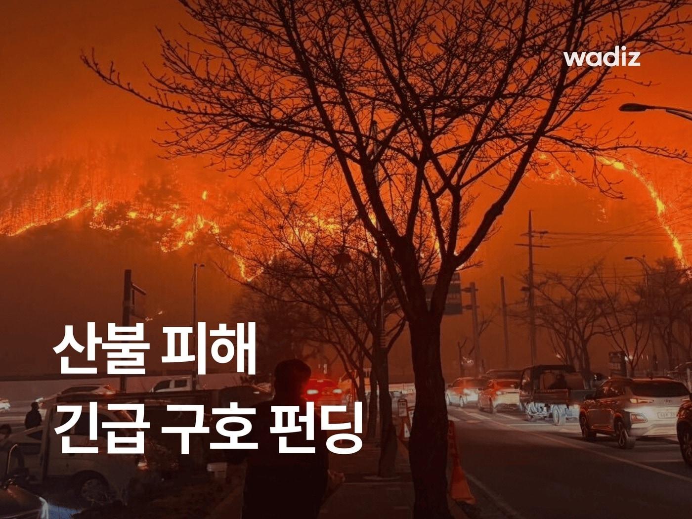 본문 이미지 - (와디즈 제공)