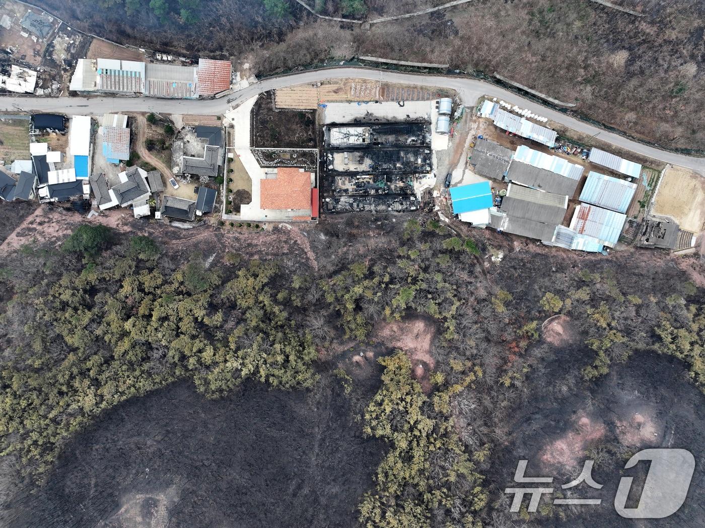 본문 이미지 - 지난 3월22일 발생한 경북 산불 현장.(뉴스1 자료)ⓒ News1 DB