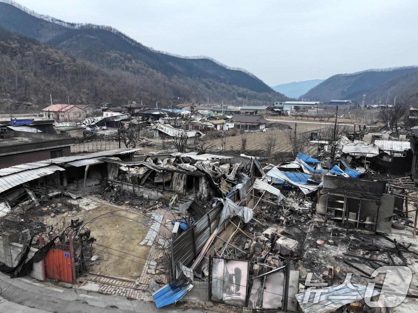 본문 이미지 - 28일 안동시 임하면 마을에 산불 피해 흔적이 남아있다. 2025.3.28/뉴스1 ⓒ News1 이승배 기자
