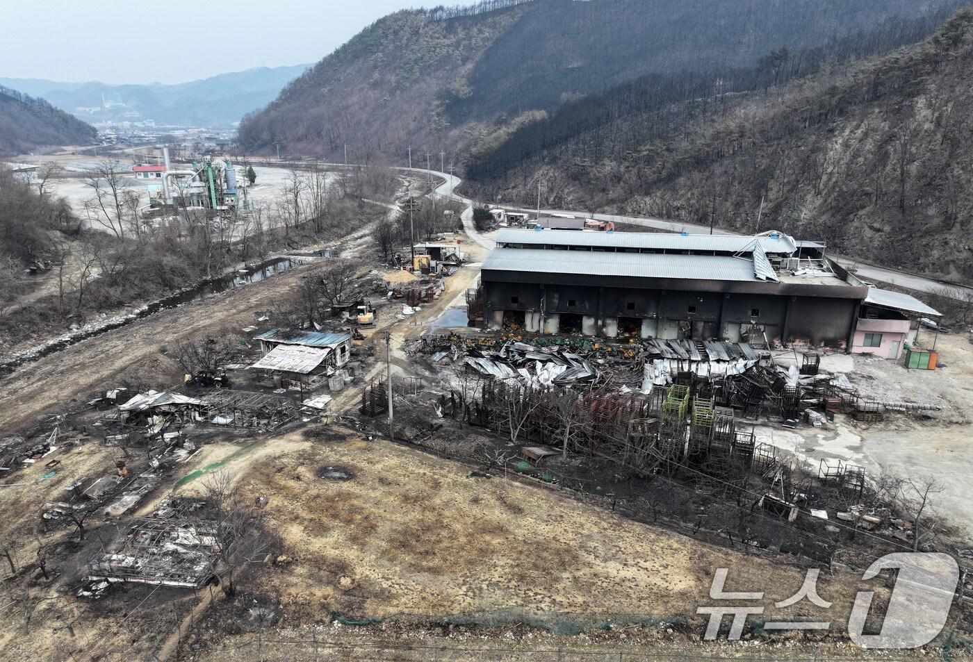 28일 안동시 임하면 마을에 산불 피해 흔적이 남아있다. 2025.3.28/뉴스1 ⓒ News1 이승배 기자