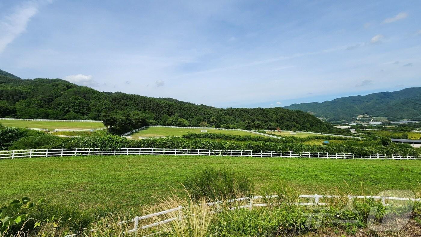 새 안식처 중 하나인 한국마사회 장수목장. (한국마사회 제공)