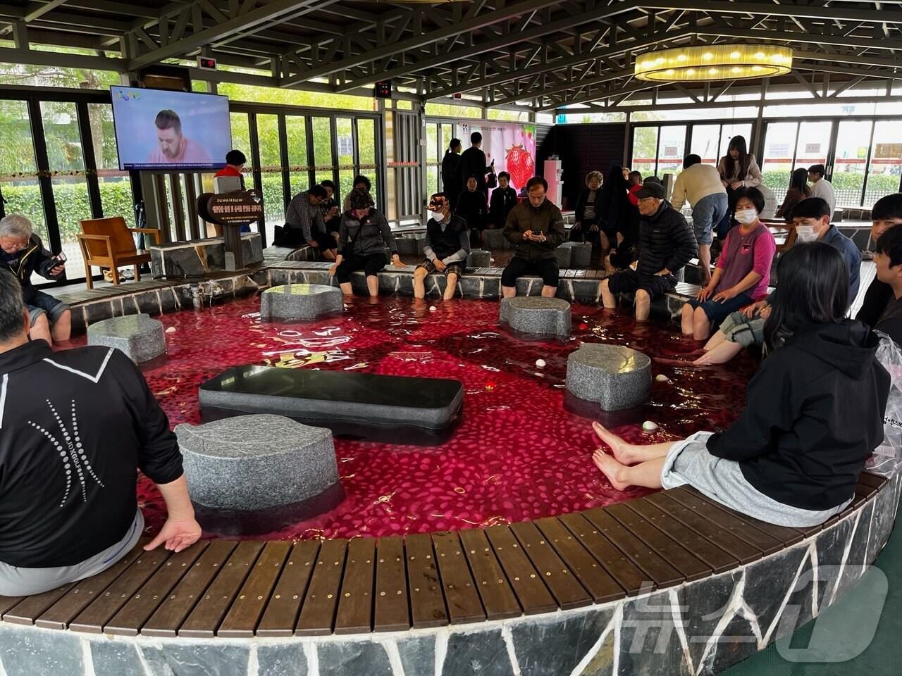 본문 이미지 - 논산딸기축제장에 설치된 족욕장. (논산시 제공. 재판매 및 DB금지) /뉴스1