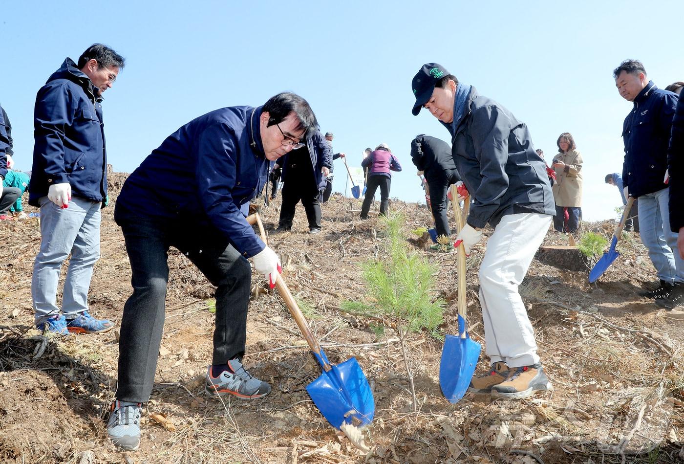 김태흠 충남지사(오른쪽)와 김동일 보령시장이 나무를 심고 있다. (보령시 제공. 재판매 및 DB금지)/뉴스1