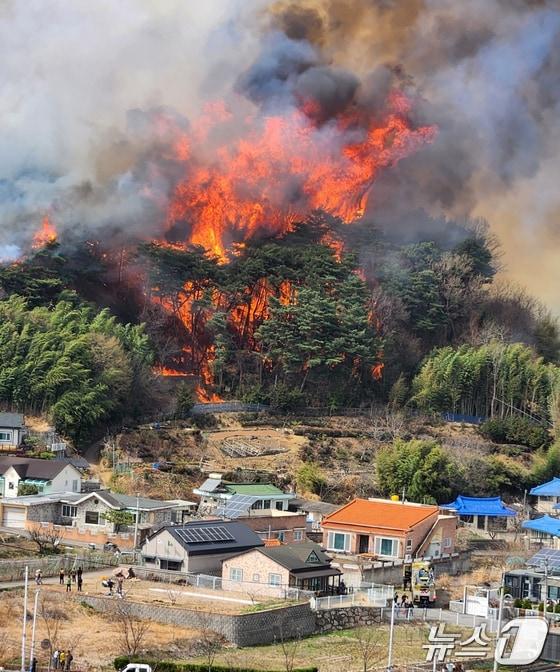 본문 이미지 - 임도가 정상까지 개설된 언양읍 화장산 산불이 발생 20시간 만에 진화된 반면 온양읍 대운산 산불을 잡는데 5일이상 걸리는 등 애를 먹었다.사진은 울산 울주군 언양읍 화장산에서 불이 나 불길이 민가까지 접근하는 모습. (독자 제공. 재판매 및 DB 금지) 2025.3.25/뉴스1