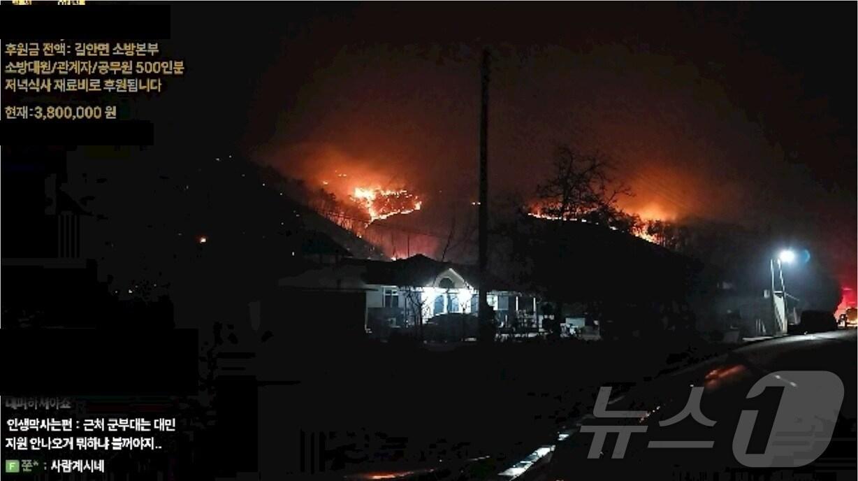 본문 이미지 - 스트리머 &#39;돌아간숲애견&#39;의 산불 피해 현장 생중계 &#40;숲 제공&#41;
