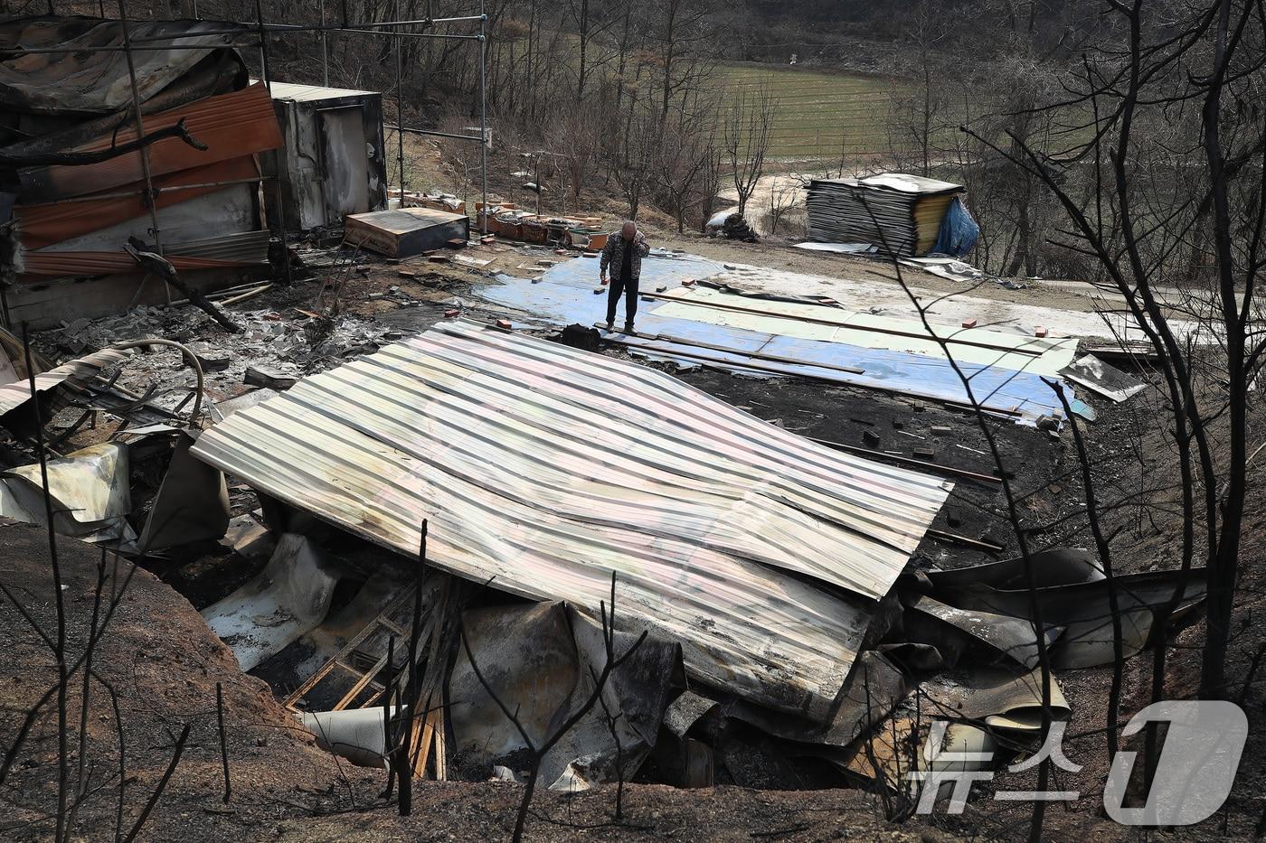 28일 오후 경북 의성군 안평면 석탑리 한 야산에서 8년째 양봉을 해오던 이삼병&#40;69&#41;씨가 산불로 폐허가 된 농막을 살펴보고 있다. 저온창고와 원두막을 비롯해 양봉 원자재와 벌통 등 시설이 불에 타고, 꿀벌 약 2만 마리씩 들어있던 벌통 40개가 훼손돼 약 1억 원의 손해를 입었다. 2025.3.28/뉴스1 ⓒ News1 공정식 기자