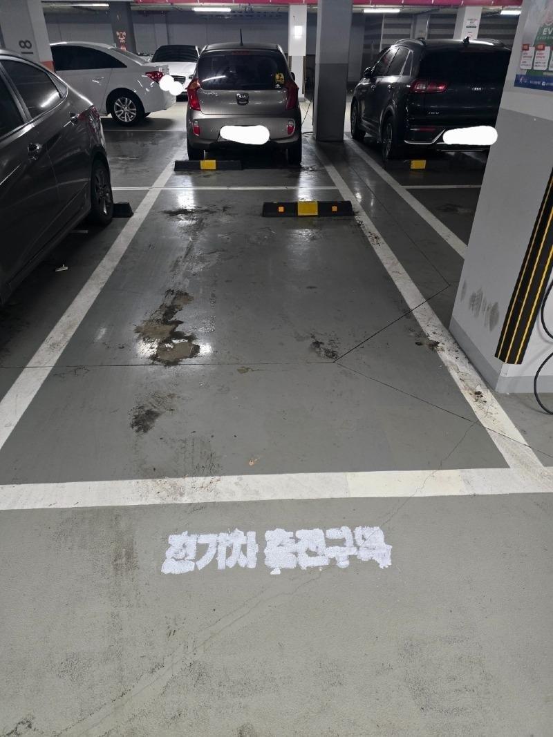 본문 이미지 - (보배드림 갈무리)