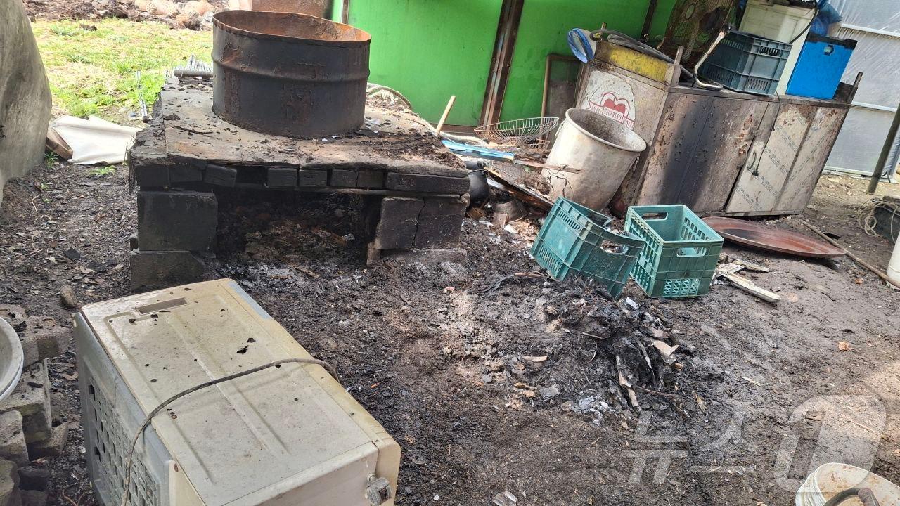 본문 이미지 - 화재 현장. (경기도소방재난본부 제공. 재판매 및 DB 금지) 2025.3.29/뉴스1