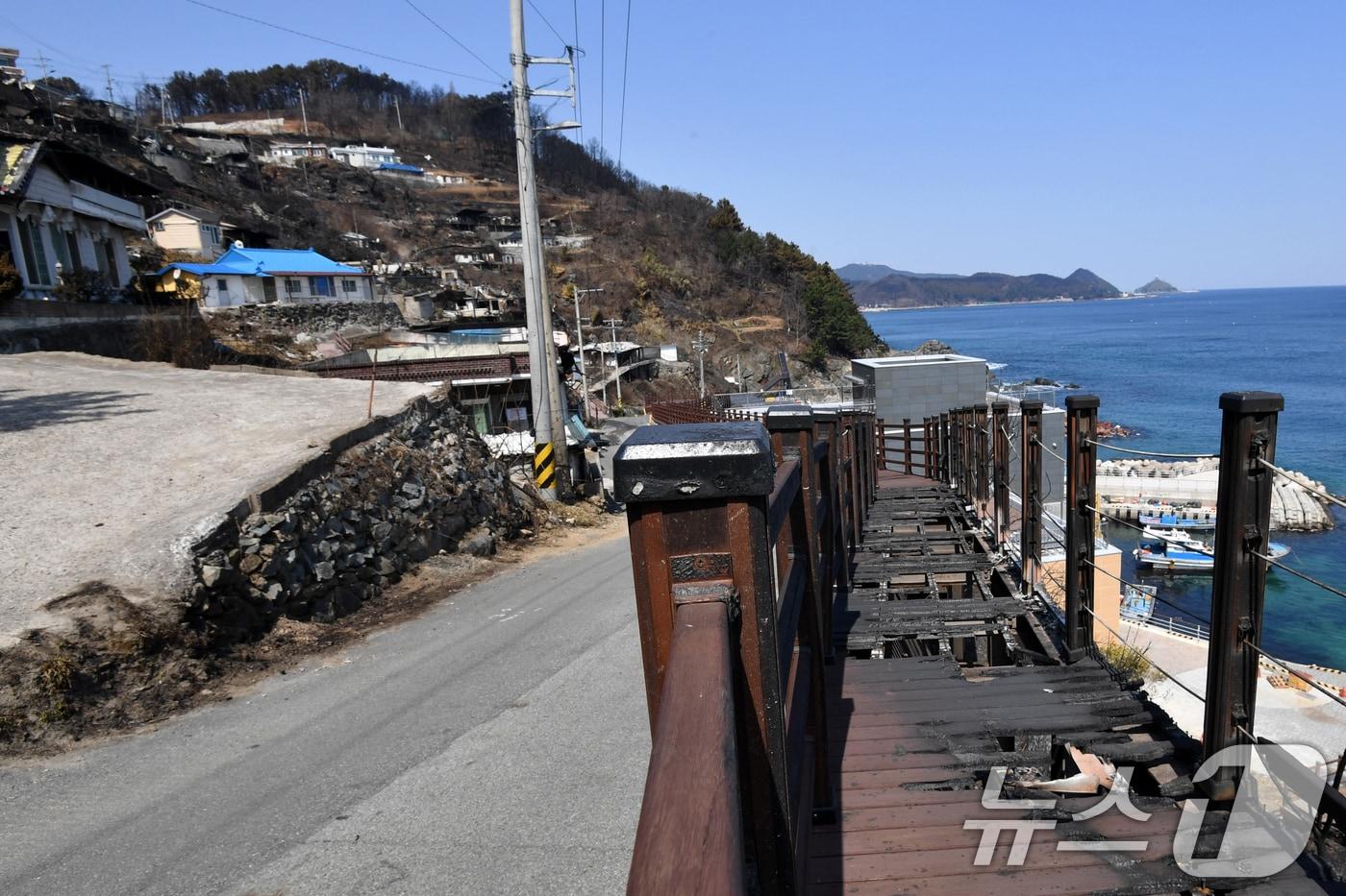 29일 오후 경북 영덕군 영덕읍 석리 해안둘레길 일부가 산불로 훼손돼 출입이 통제되고 있다. 2025.3.29/뉴스1 ⓒ News1 최창호 기자