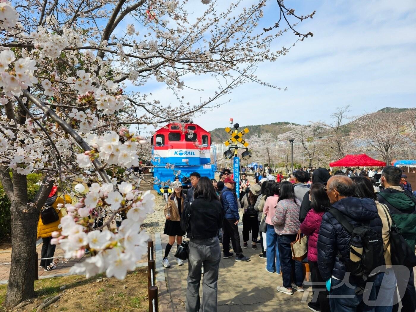 본문 이미지 - 29일 오전 창원시 진해구 경화동 경화역이 군항제를 찾은 상춘객으로 북적거리고 있다. ⓒ 뉴스1 박민석 기자
