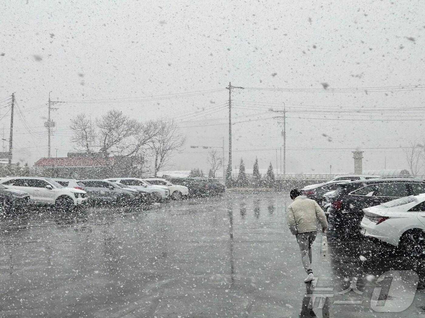 본문 이미지 - 갑작스레 눈이 내린 29일 낮 강원 춘천 동내면 학곡리에서 한 시민이 뛰어가고 있다.2025.3.29 한귀섭 기자