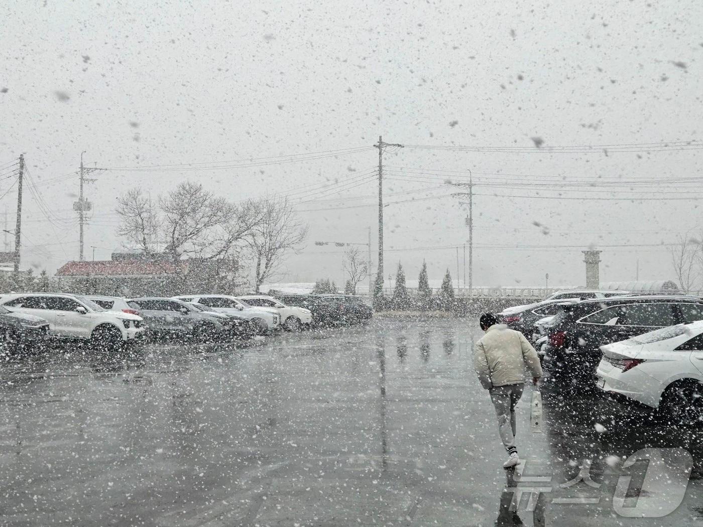 본문 이미지 - 갑작스레 눈이 내린 29일 낮 강원 춘천 동내면 학곡리에서 한 시민이 뛰어가고 있다.2025.3.29 한귀섭 기자