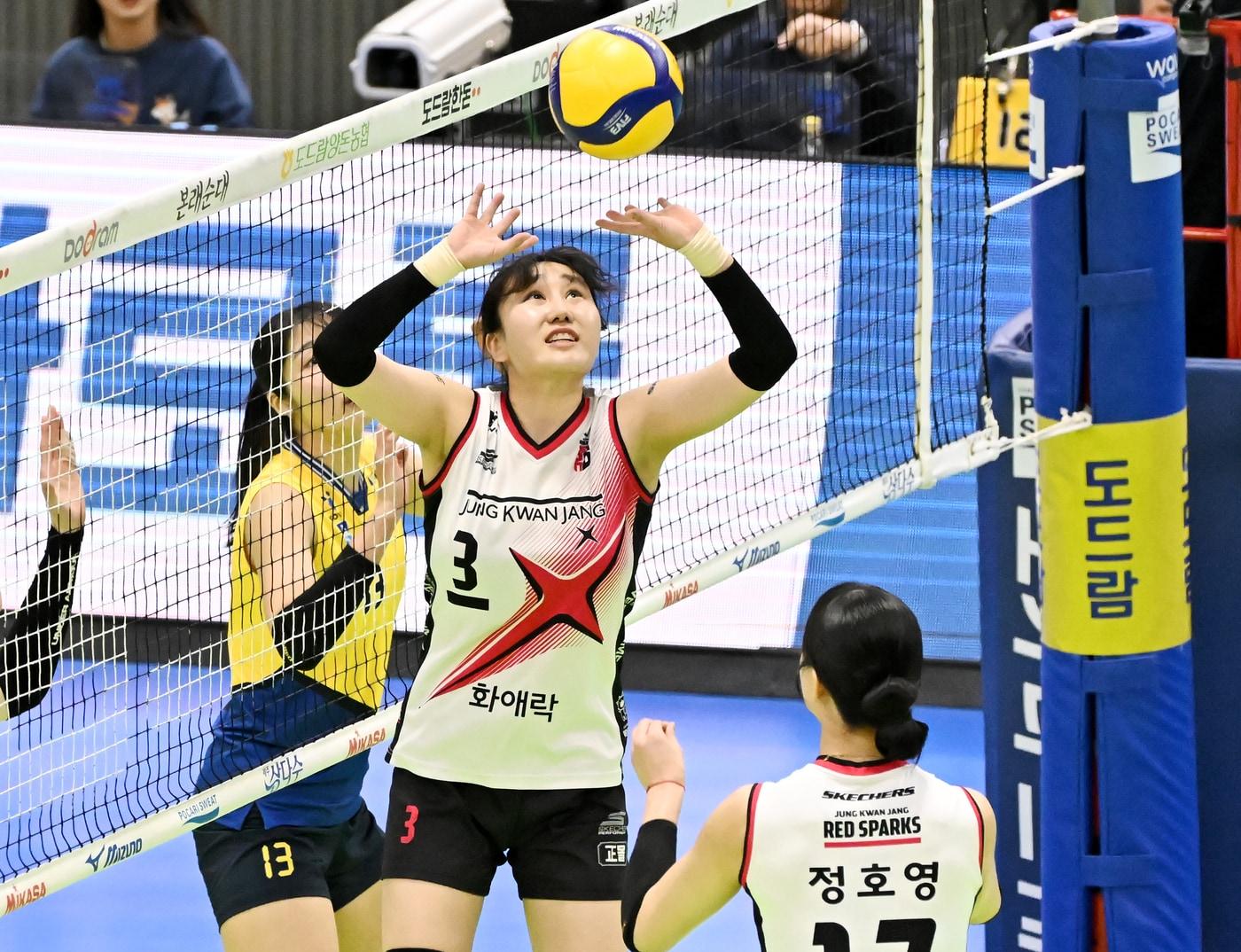 본문 이미지 - 정관장 주전 세터 염혜선. &#40;한국배구연맹 제공&#41;
