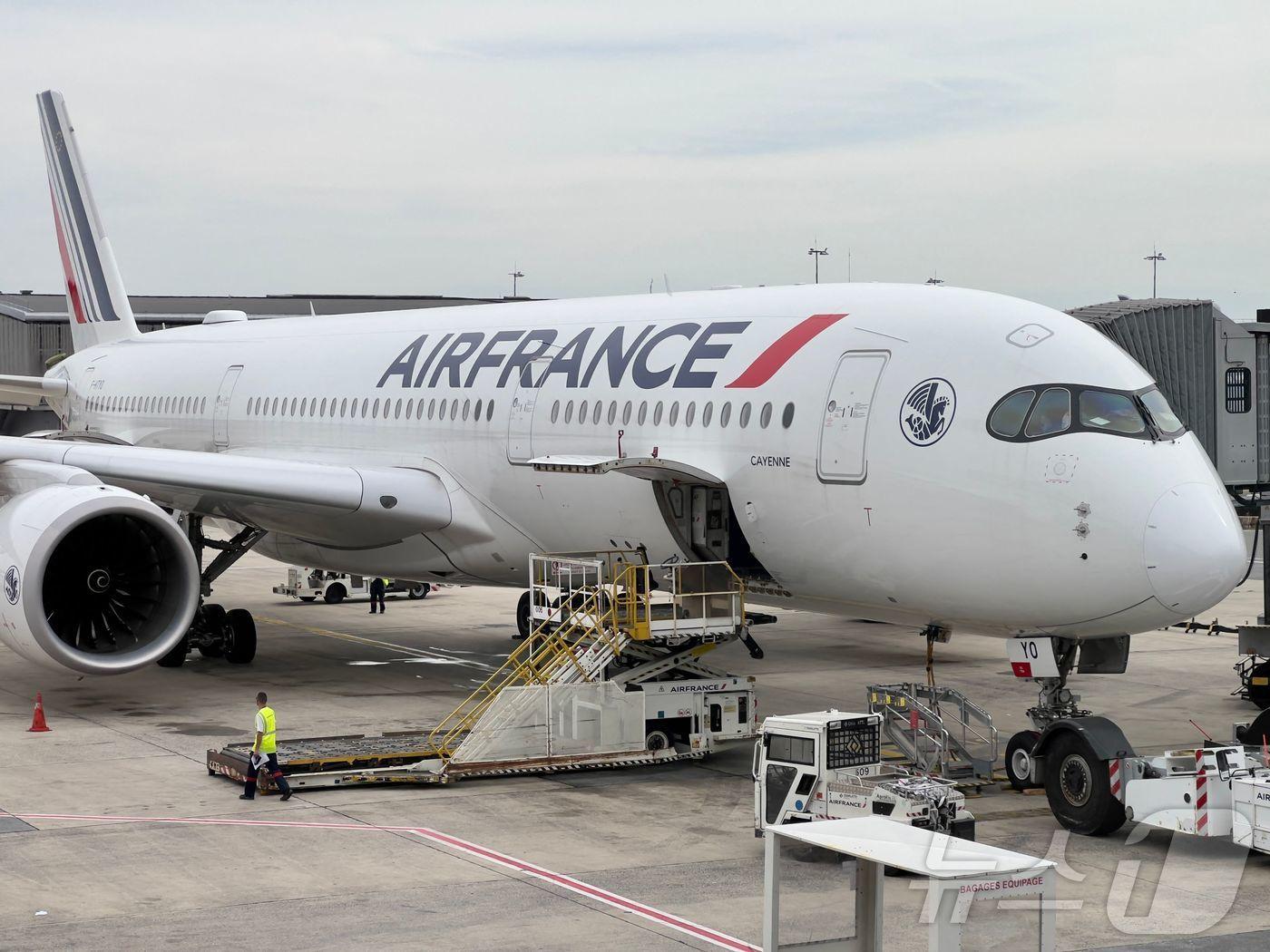 본문 이미지 - 프랑스 파리 샤를드골국제공항의 에어프랑스 여객기. 2023.09.17 ⓒ AFP=뉴스1 ⓒ News1 김지완 기자