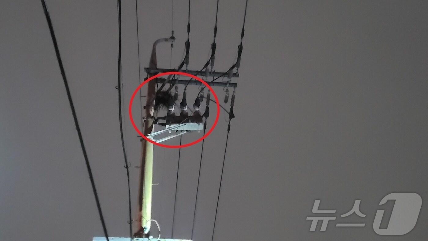 3일 새벽 제주시 이도2동에서 고압선이 파손돼 안전조치가 이뤄지고 있다.(제주도소방안전본부 제공. 재판매 및 DB 금지)2025.3.3/뉴스1