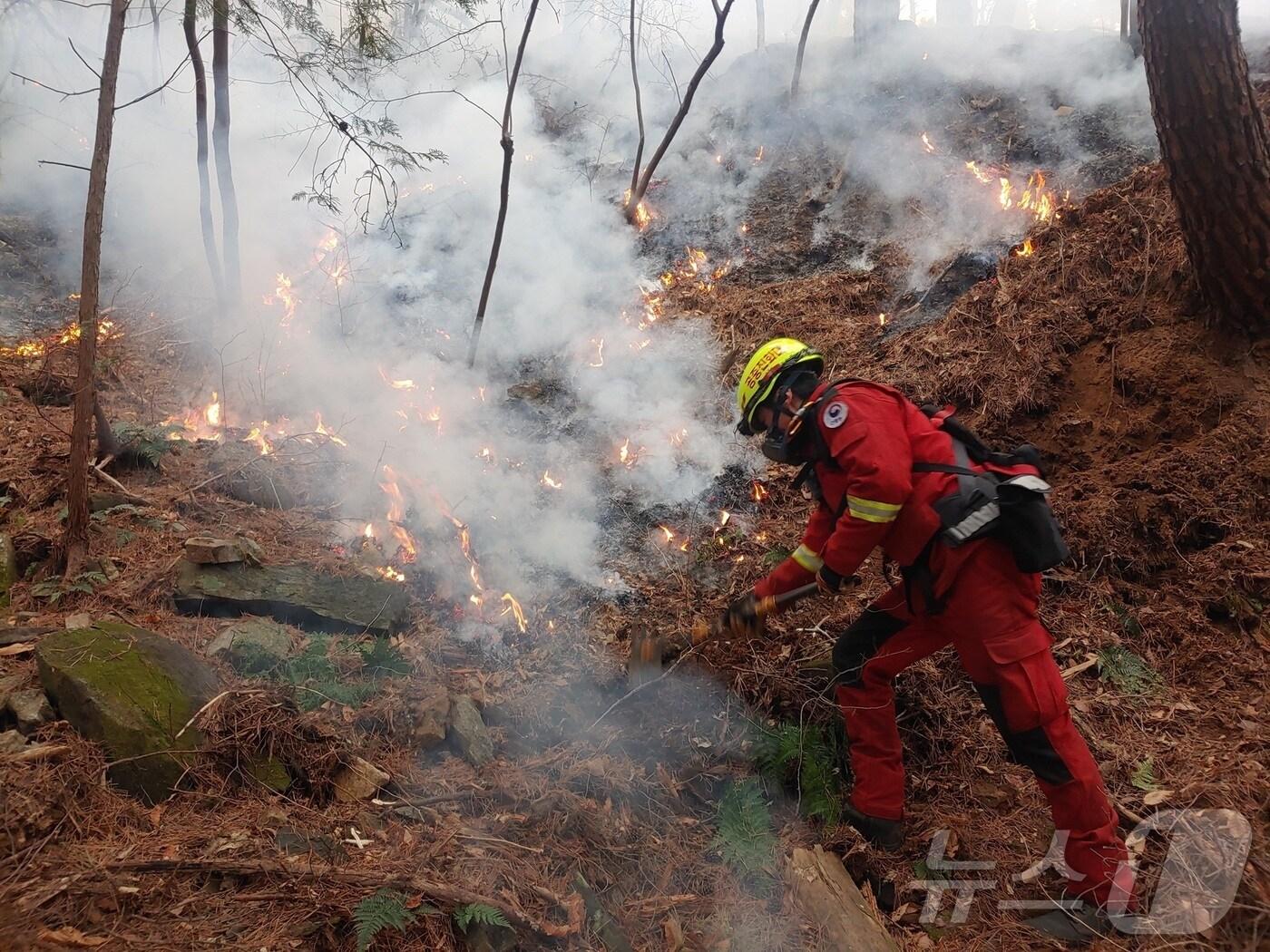 본문 이미지 - 산림청 공중진화대원의 산불 진화 활동(산림청 제공. 재판매 및 DB금지).