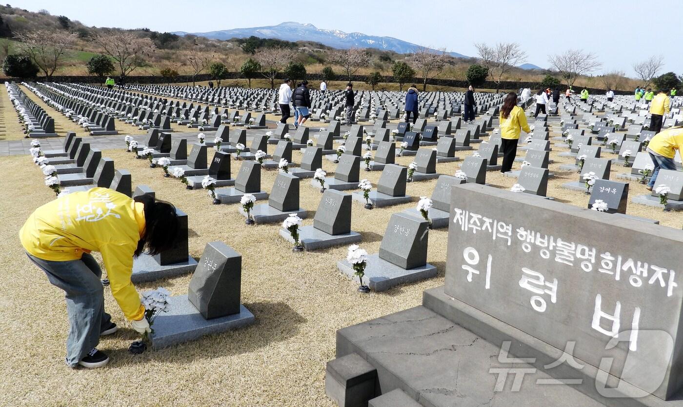 제77주년 4·3 희생자 추념일을 나흘 앞둔 30일 오전 제주4·3평화공원 행방불명인 표석(총 4030기) 일대에서 제주대학교와 제주한라대학교 학생들이 각 표석 앞에 국화 한 다발을 꽂는 봉사활동을 하고 있다. 2025.3.30/뉴스1 ⓒ News1 오미란 기자