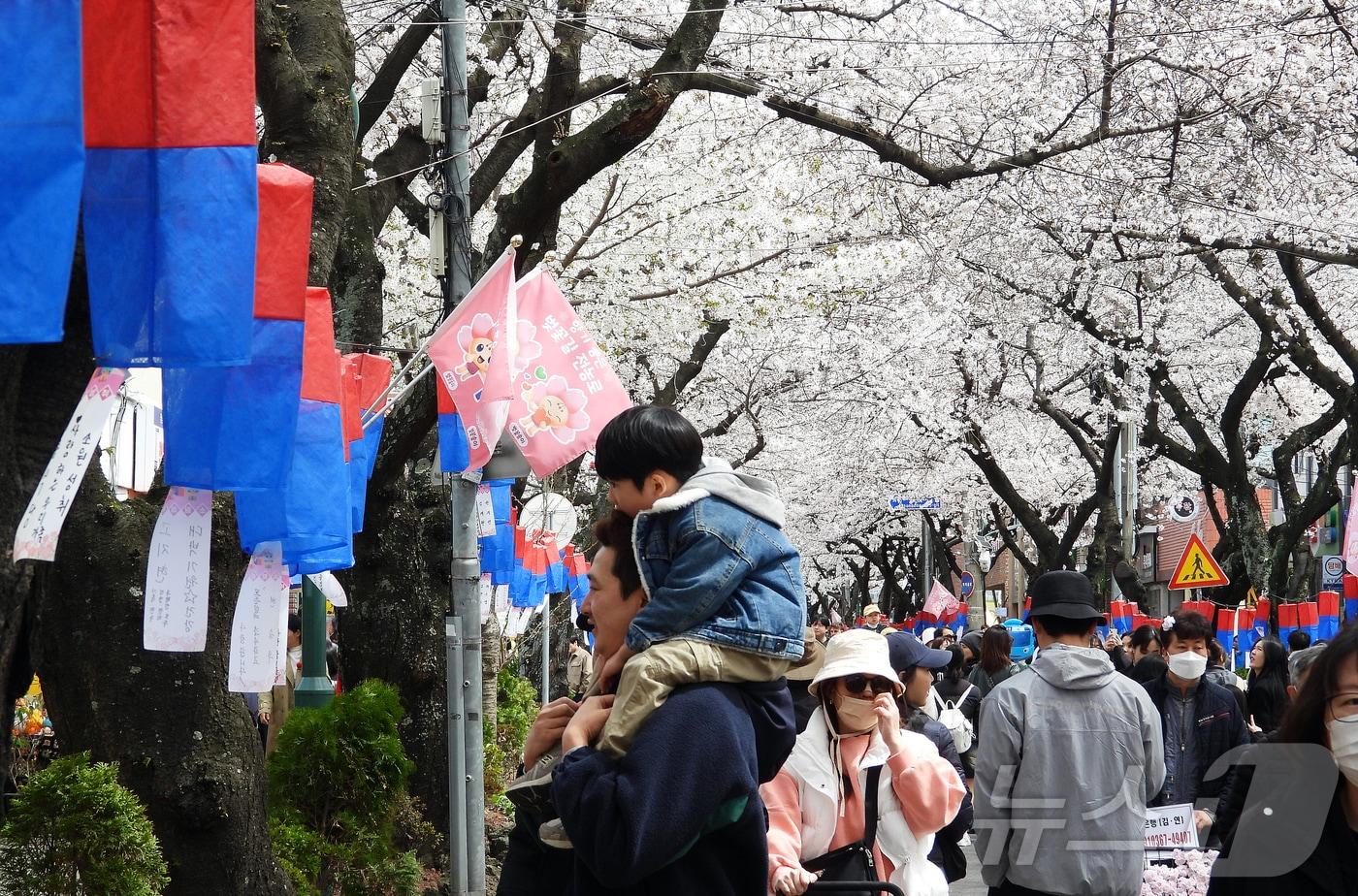 본문 이미지 - '제18회 전농로 왕벚꽃 축제' 마지막 날인 30일 오후 제주시 삼도1동 전농로 일대가 상춘객들로 북적이고 있다. 2025.3.30/뉴스1 ⓒ News1 오미란 기자