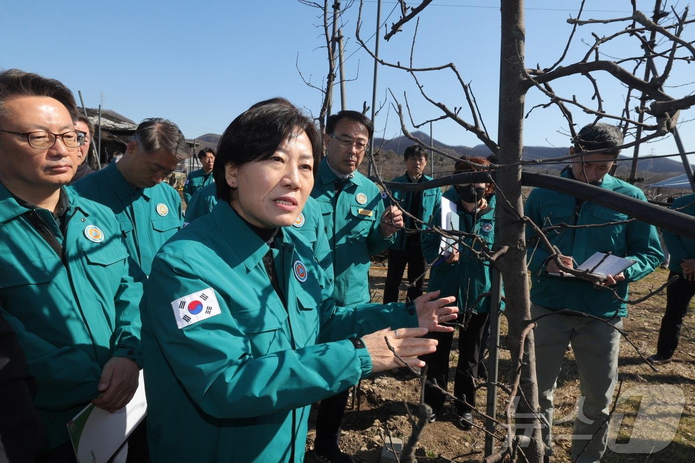 송미령 농림축산식품부 장관은 30일 "산불 피해 농가가 조기에 영농 활동에 복귀할 수 있도록 다각적인 지원책을 신속히 마련하겠다"라고 밝혔다.(사진제공=농림축산식품부)
