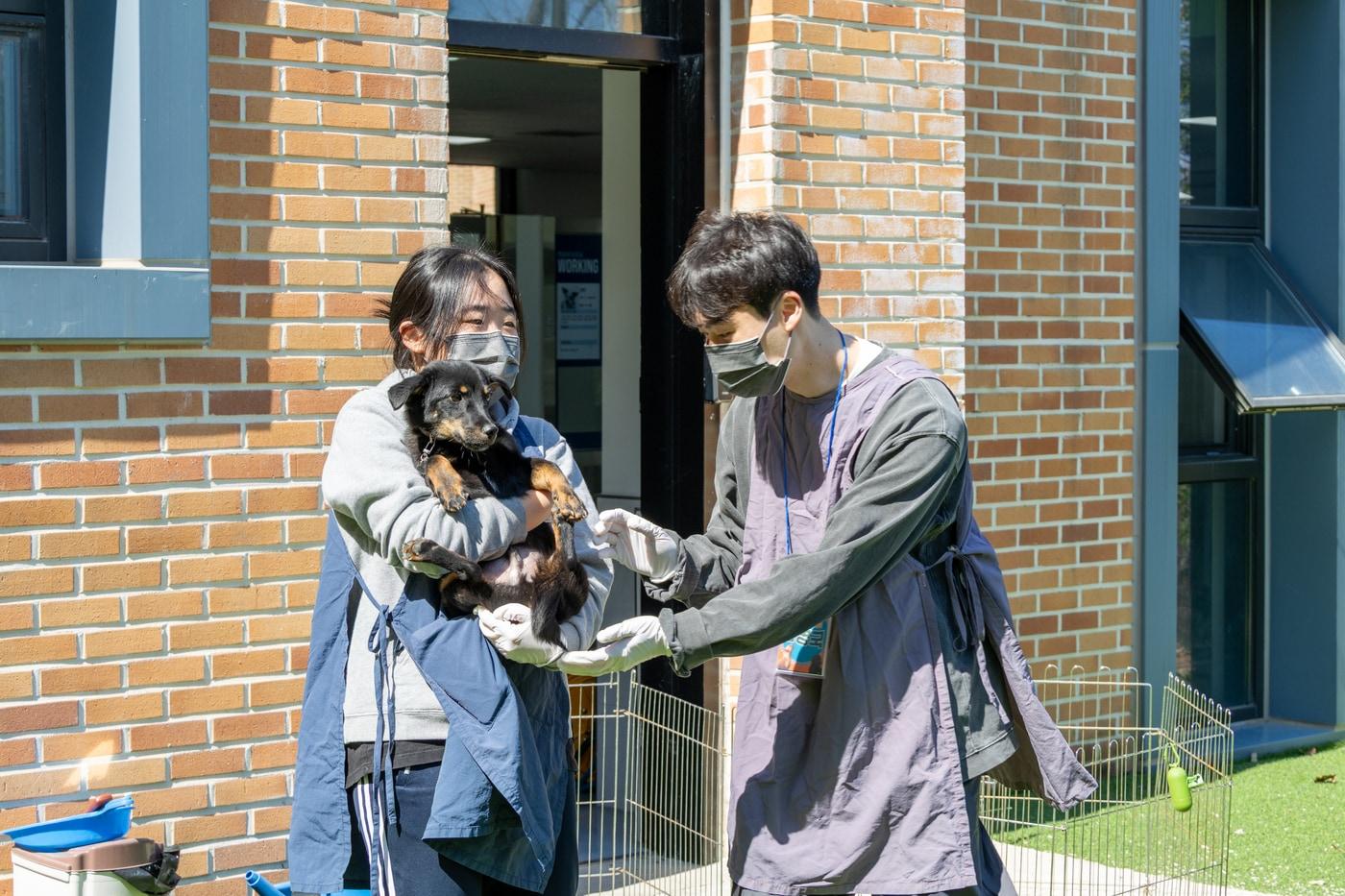 유기견 봉사활동을 진행하고 있는 LOPE 회원들. (롯데장학재단 제공).