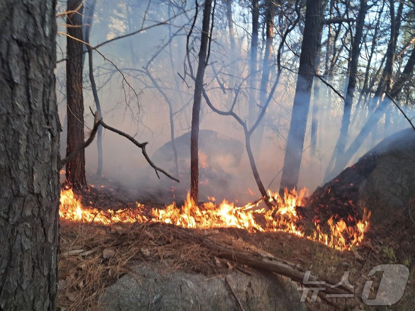 본문 이미지 - (경기북부소방재난본부 제공, 재판매 및 DB금지)
