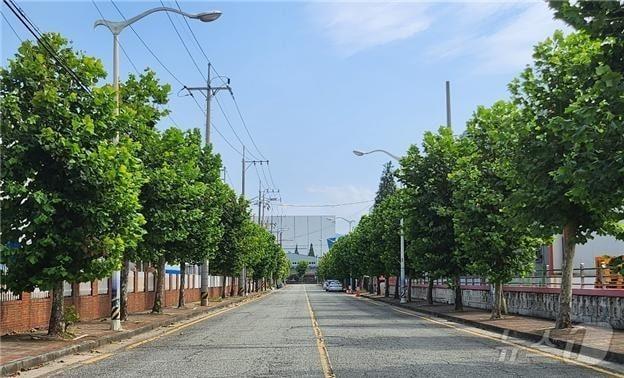 본문 이미지 - 명지녹산국가산단 내 가로수 전경(강서구청 제공. 재판매 및 DB 금지)
