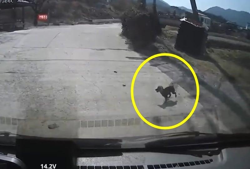 본문 이미지 - (유튜브 '한문철 TV')