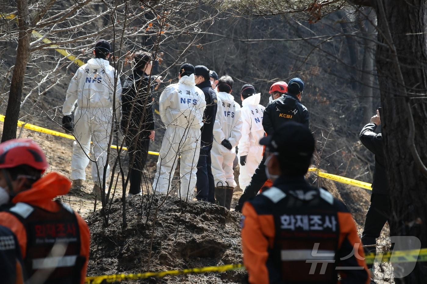 31일 경북 의성군 안평면 괴산리 산불 발생현장에서 국립과학수사연구원 및 소방당국 관계자들이 합동 감식을 벌이고 있다. 2025.3.31/뉴스1 ⓒ News1 공정식 기자